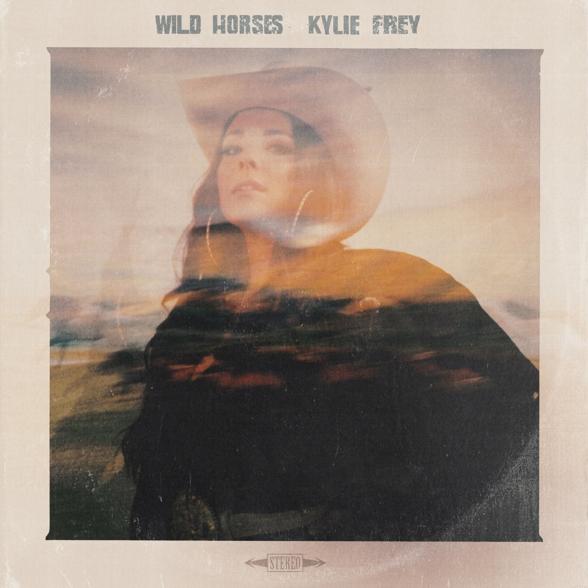 Album cover of Wild Horses