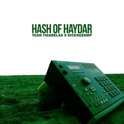 Cover of Hash Of Haydar