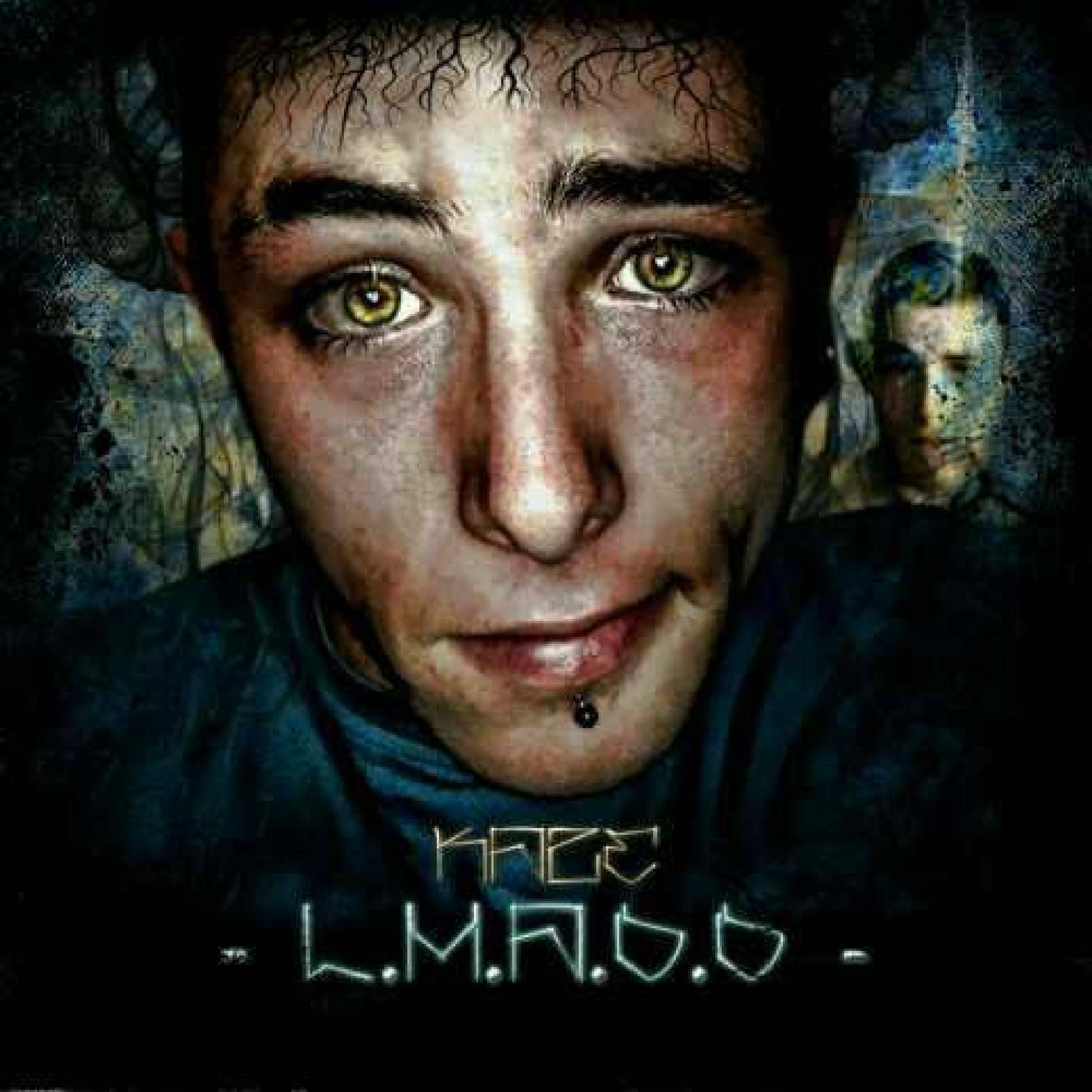 Album cover of L.M.A.D.D