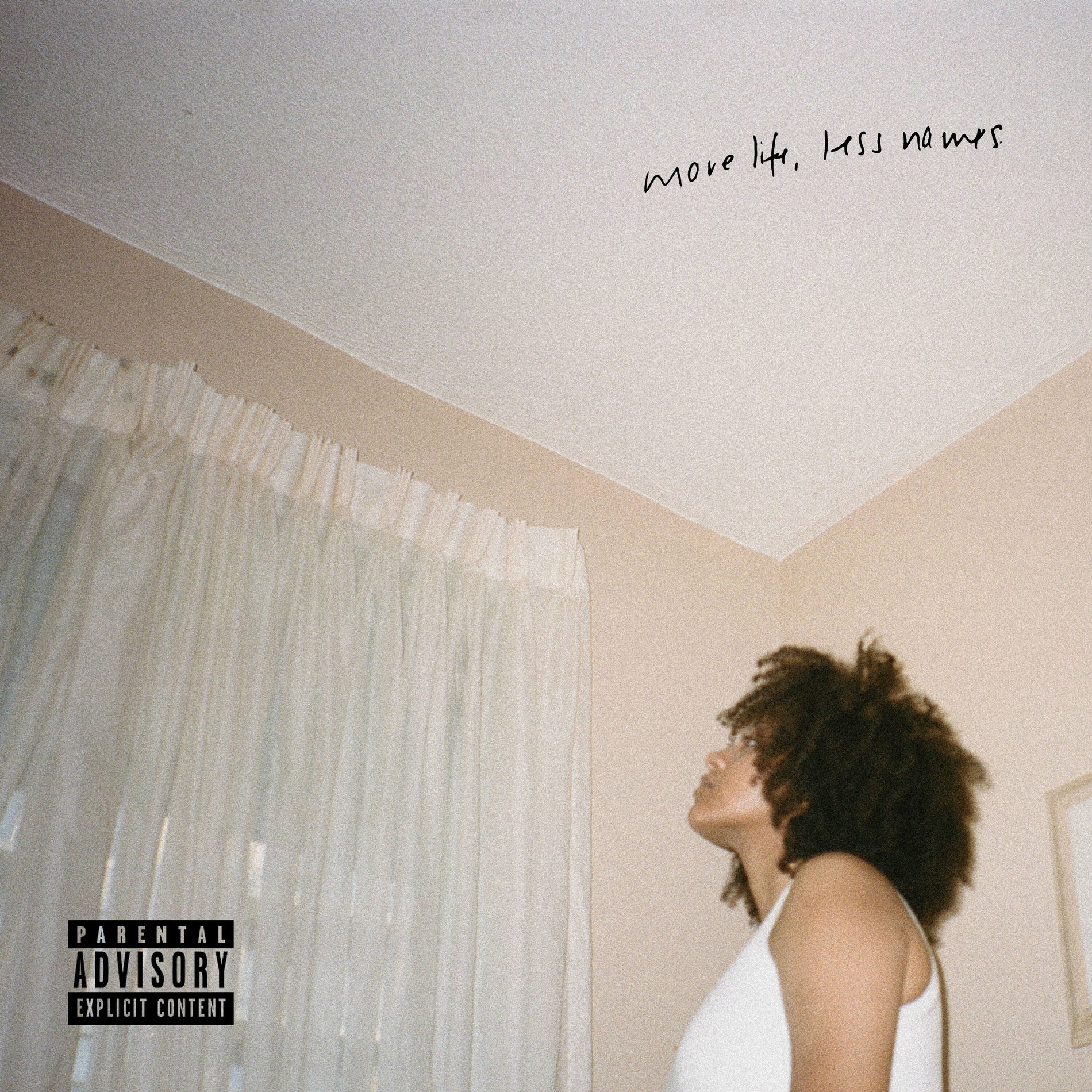 Album cover of More Life, Less Names