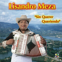 Cover of Sin Querer Queriendo