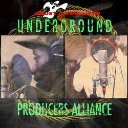 Cover of Greenlight