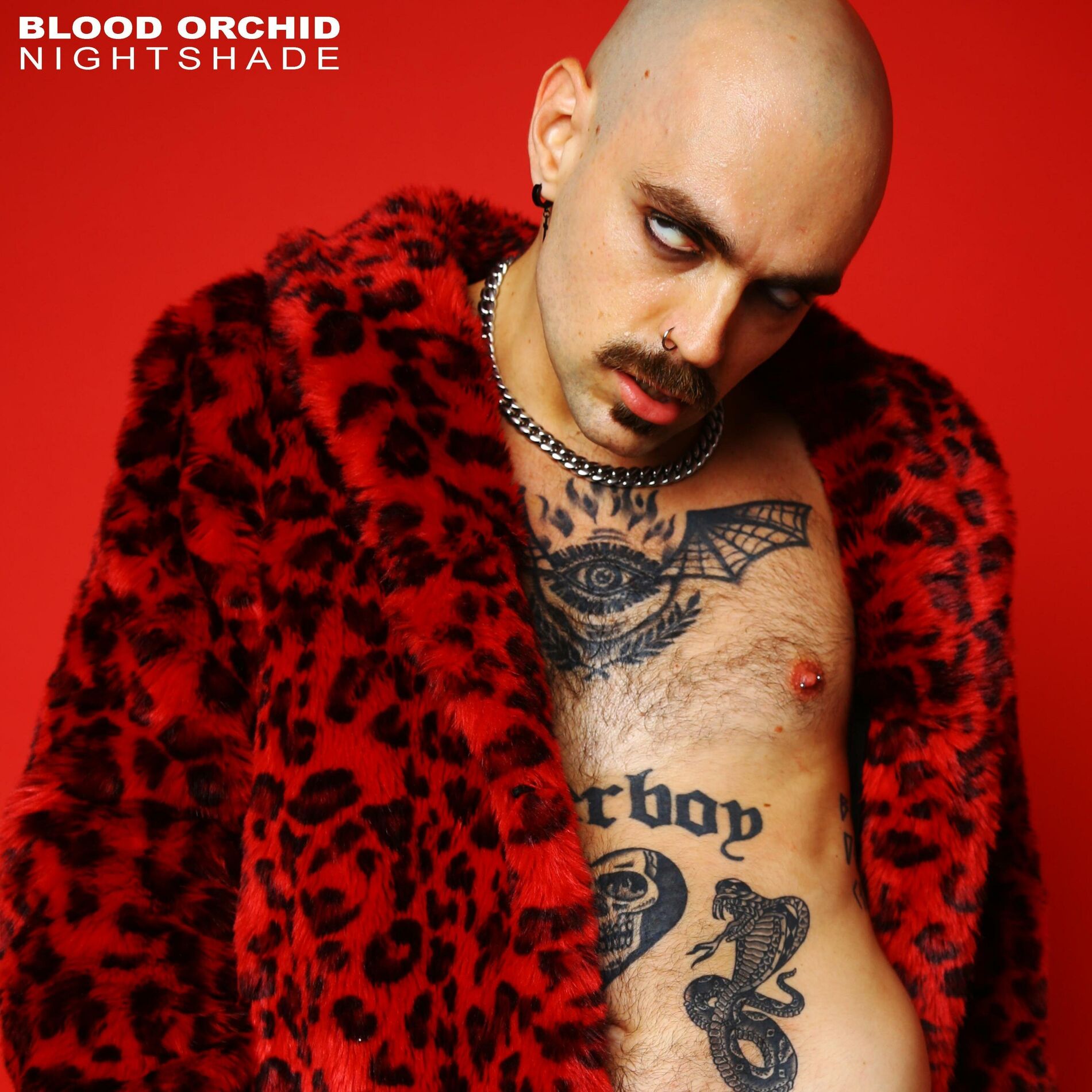 Album cover of Nightshade