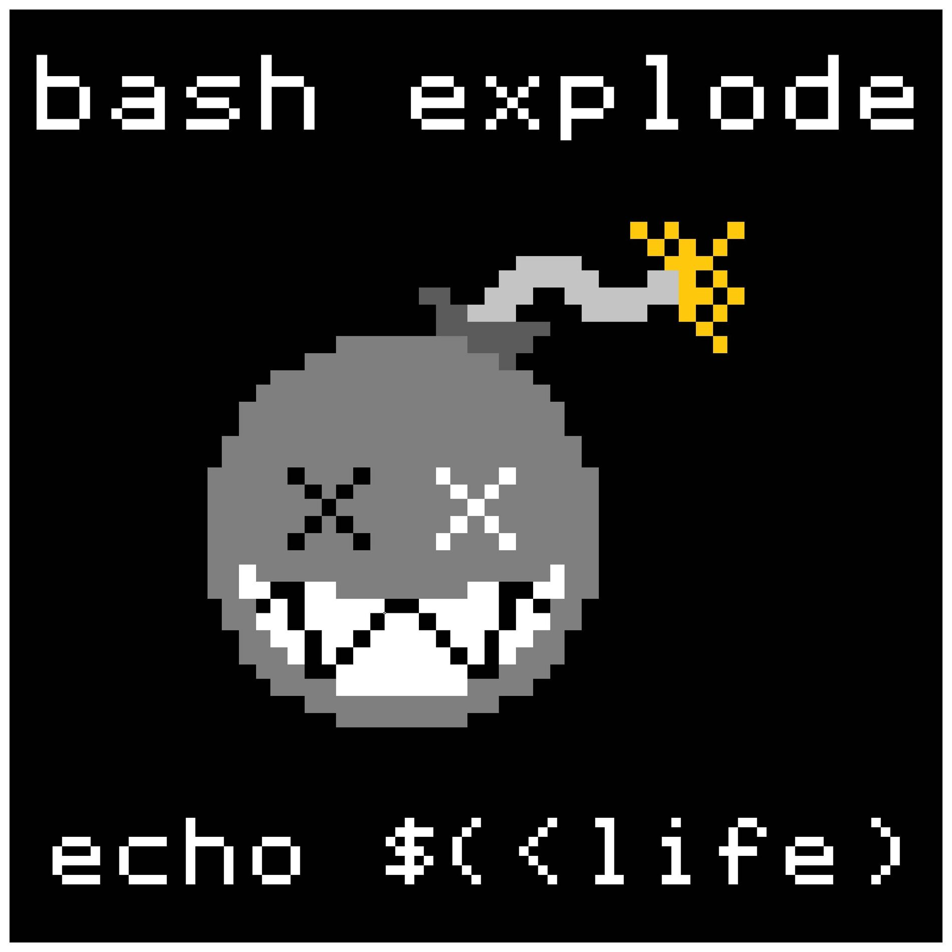 Album cover of echo life