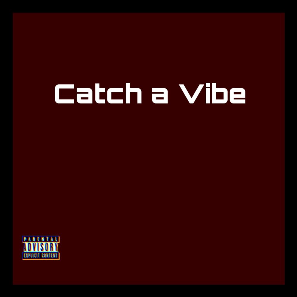 Picture of Catch a Vibe