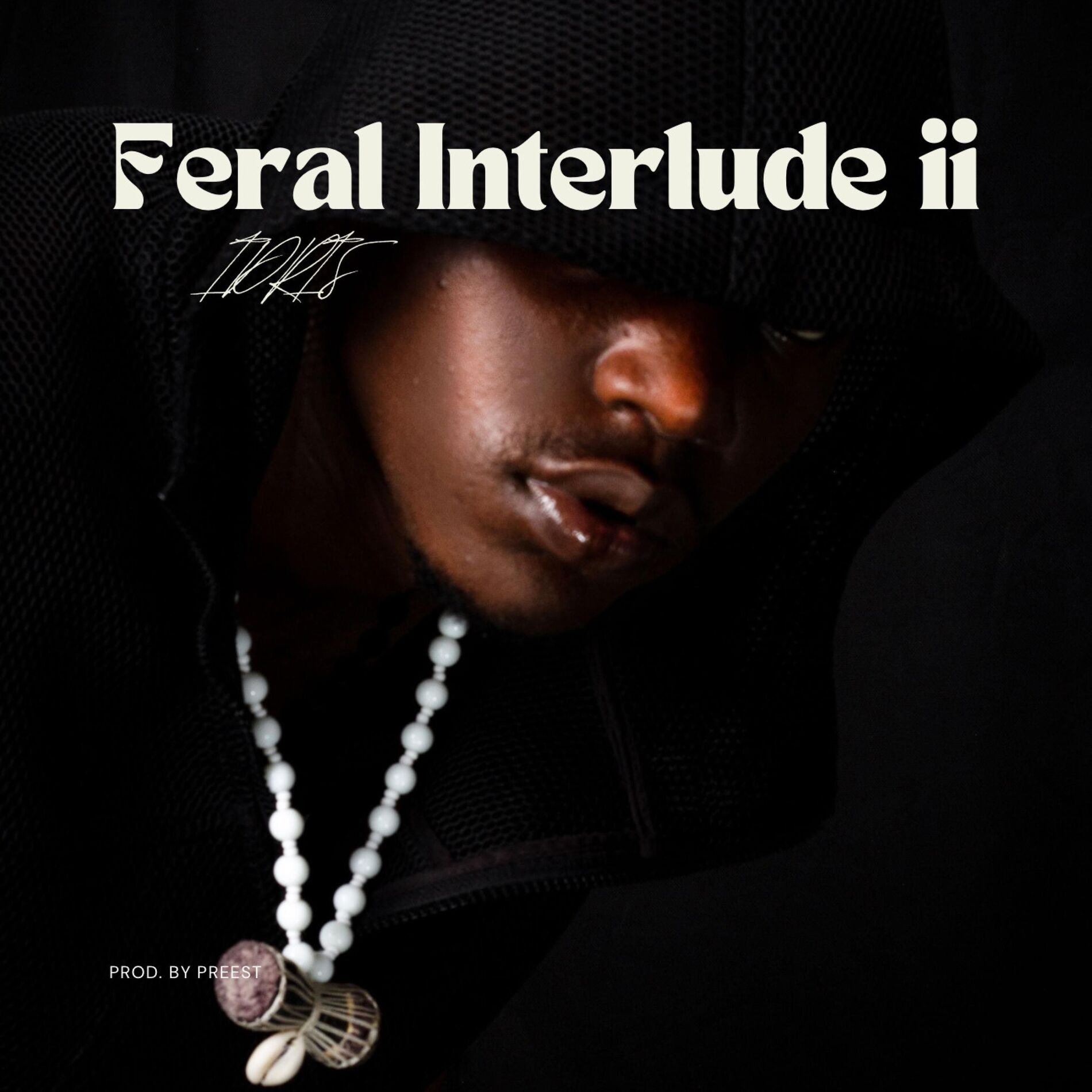 Album cover of Feral Interlude ii