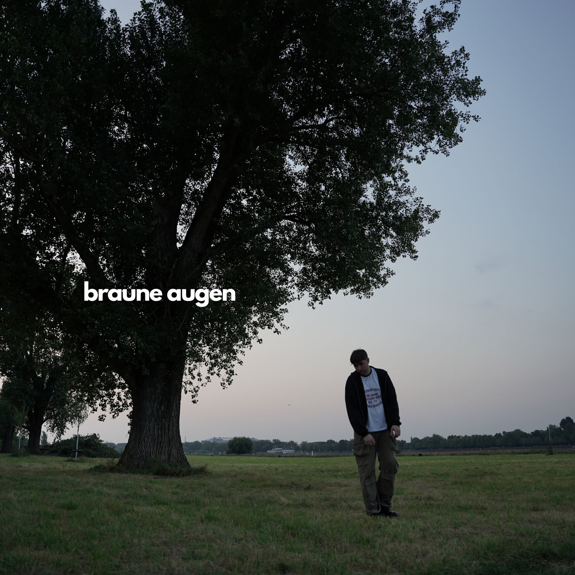 Album cover of braune augen