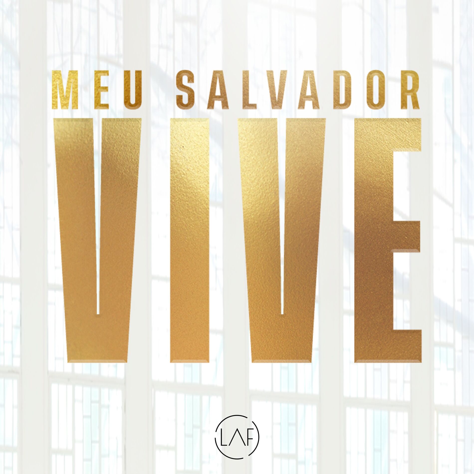 Album cover of Meu Salvador Vive