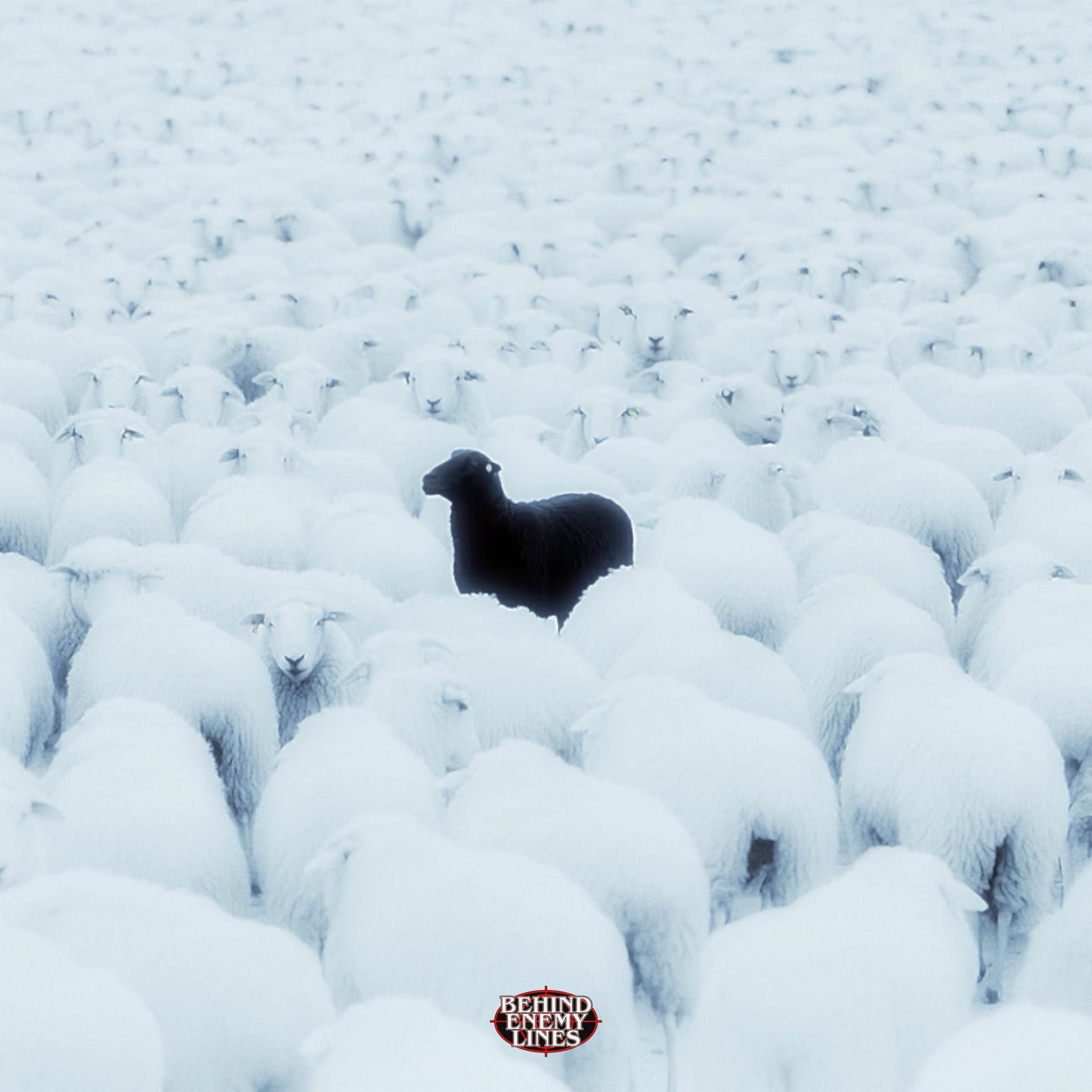 Album cover of BAŞKA