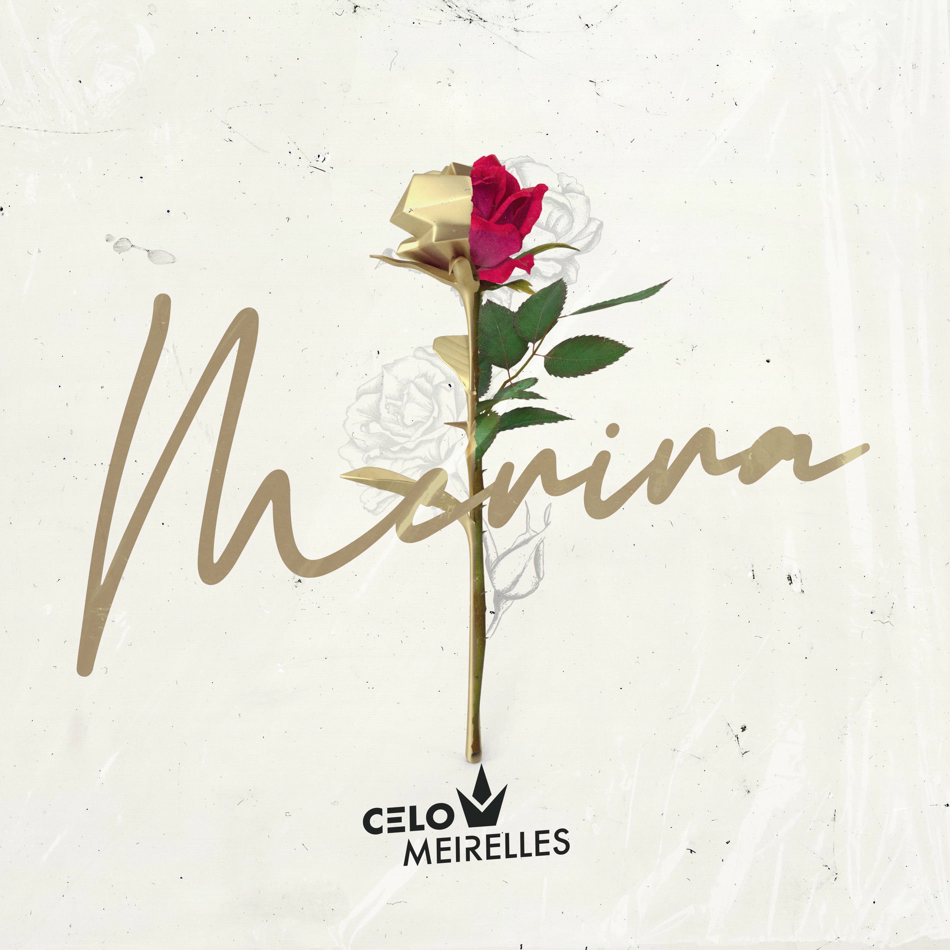 Album cover of Menina