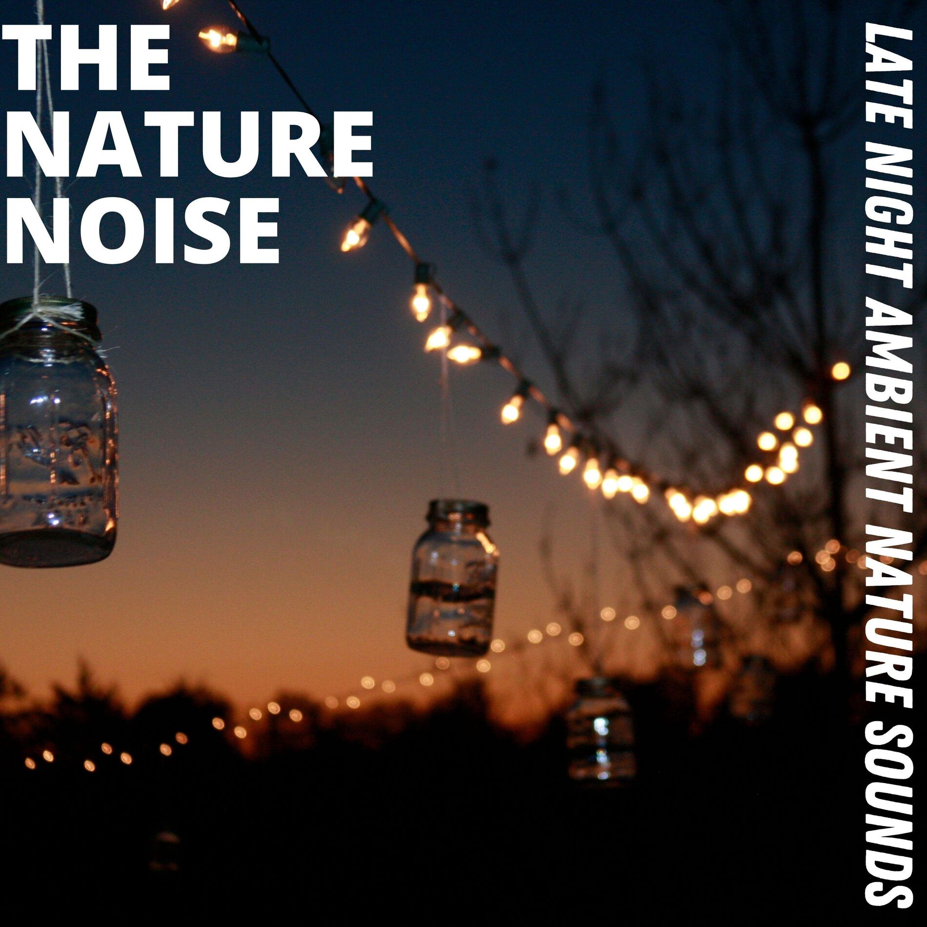 Album cover of Late Night Ambient Nature Sounds