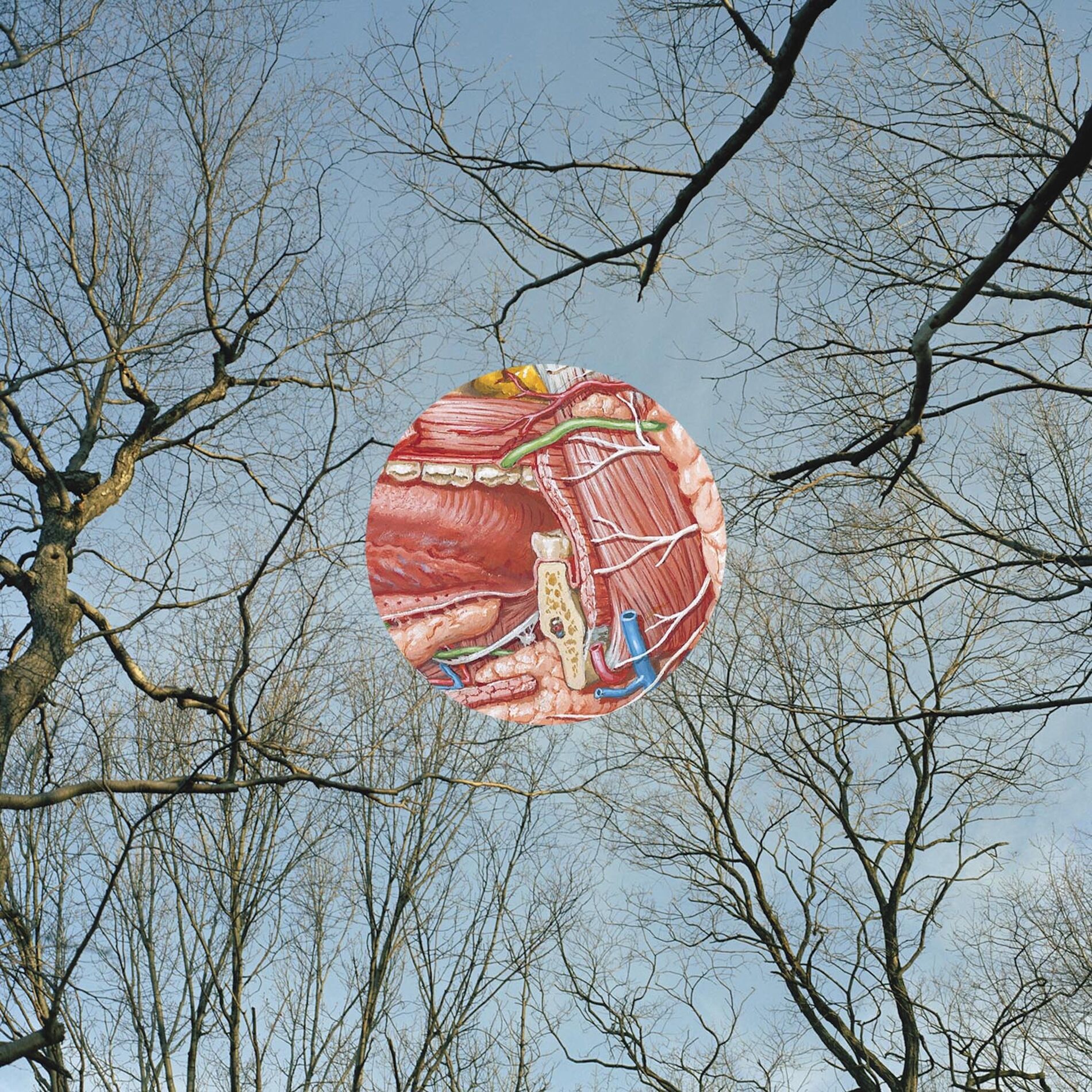 Album cover of Glean
