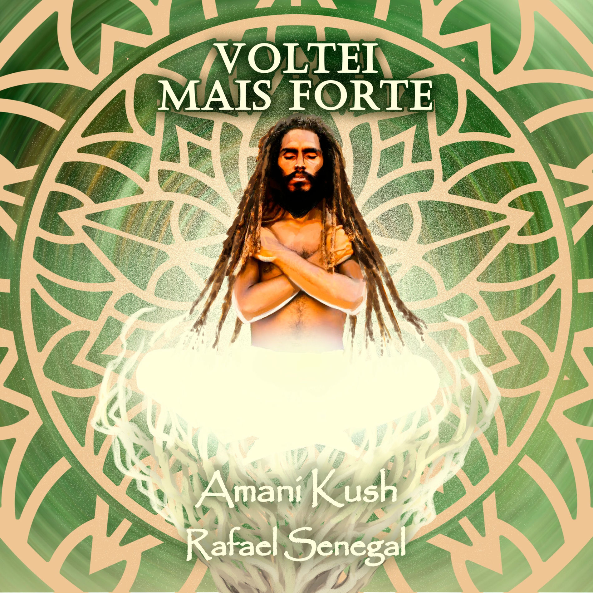 Album cover of Voltei Mais Forte