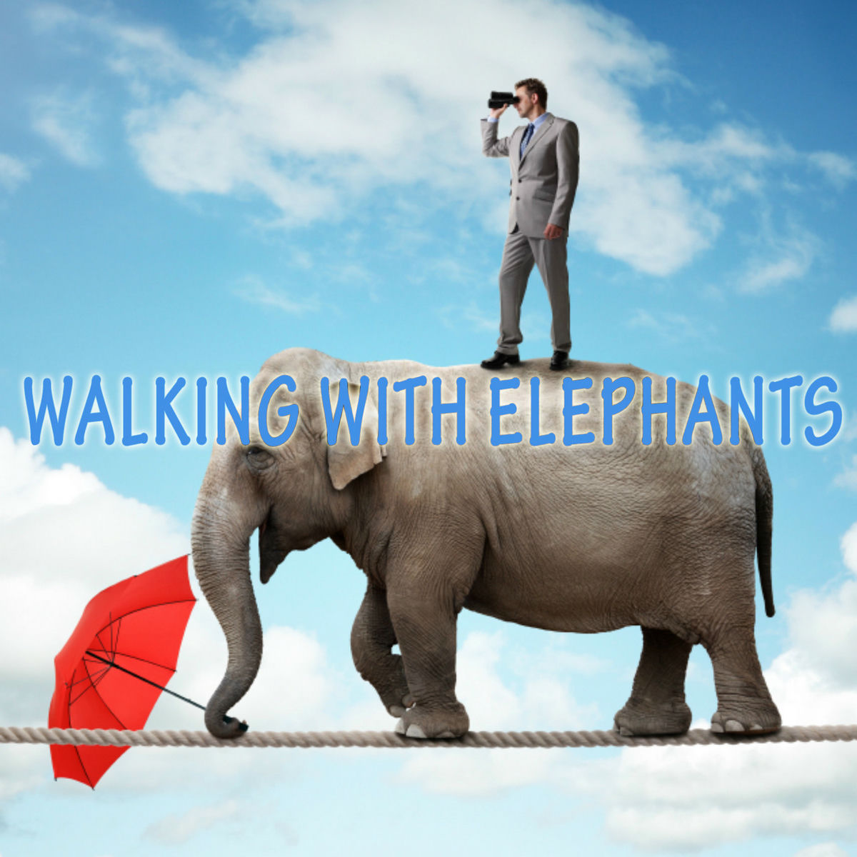 Album cover of Walking With Elephants (Original Deep House Mix)