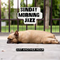 Cover of Just Another Hour