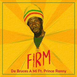 Cover of Firm