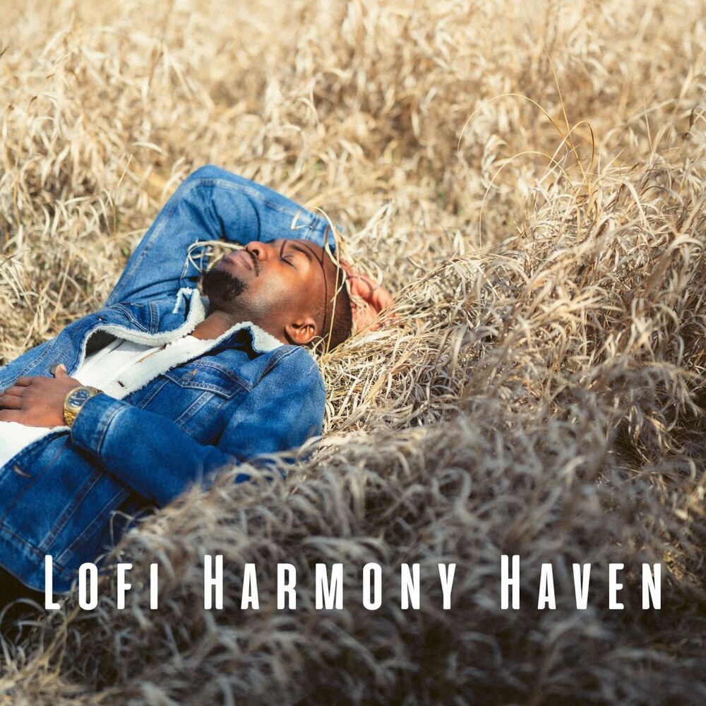Picture of Lofi Harmony Haven