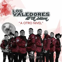 Cover of A otro nivel