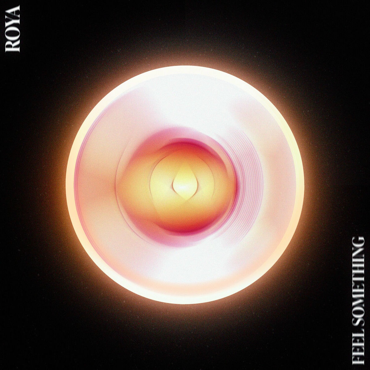 Album cover of Feel Something
