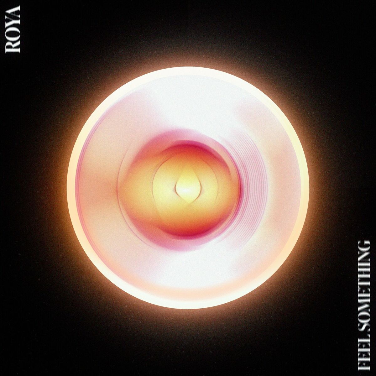 Album cover of Feel Something