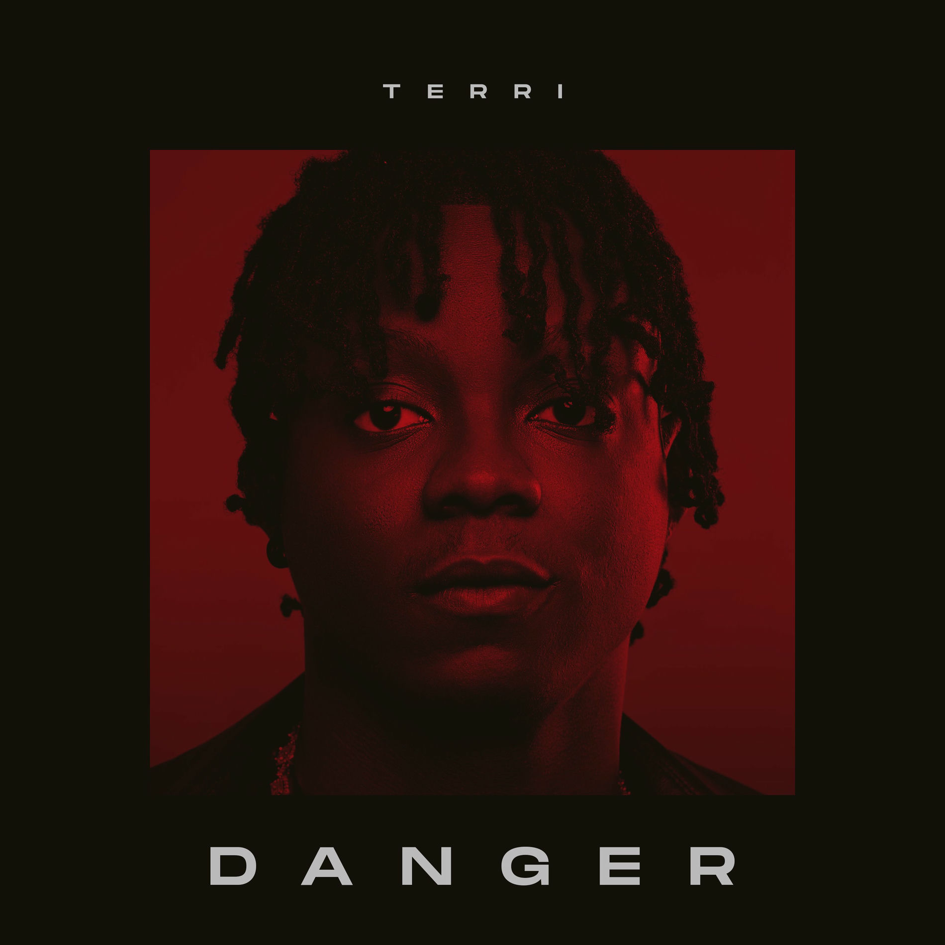 Album cover of Danger