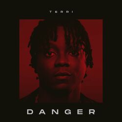 Cover of Danger