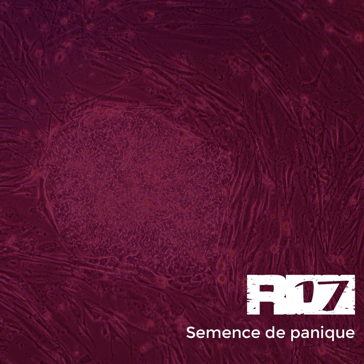 Album cover of Semence de panique (Remix)