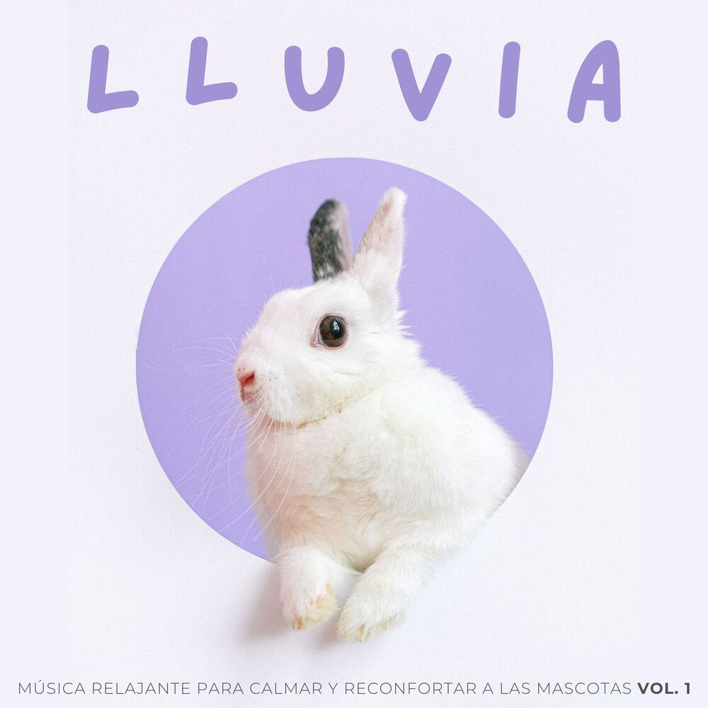 Picture of Lluvia: Música Relajante Para Calmar Y Reconfortar A Las Mascotas Vol. 1