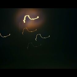 Cover of Don't Go