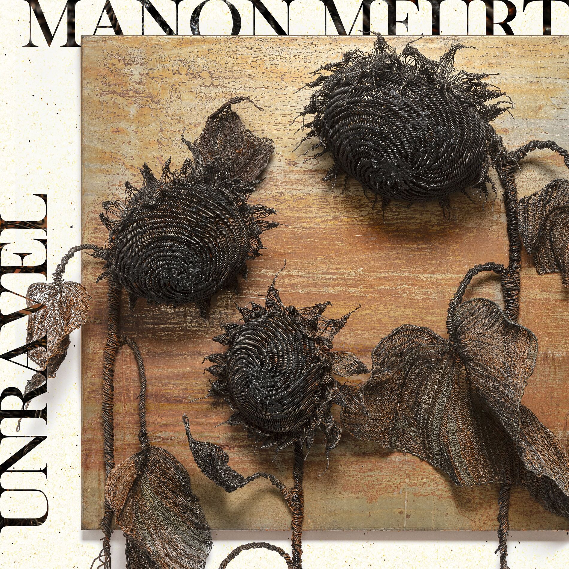 Album cover of Unravel