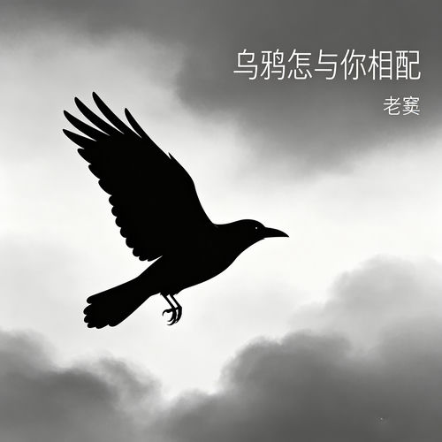 乌鸦怎与你相配