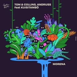 Cover of Morena