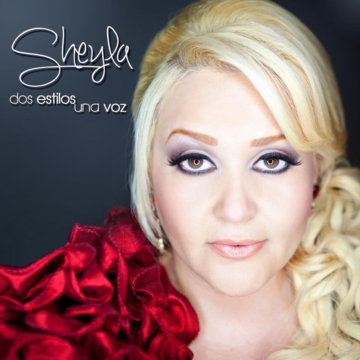 Album cover of Dos Estilos Una Voz