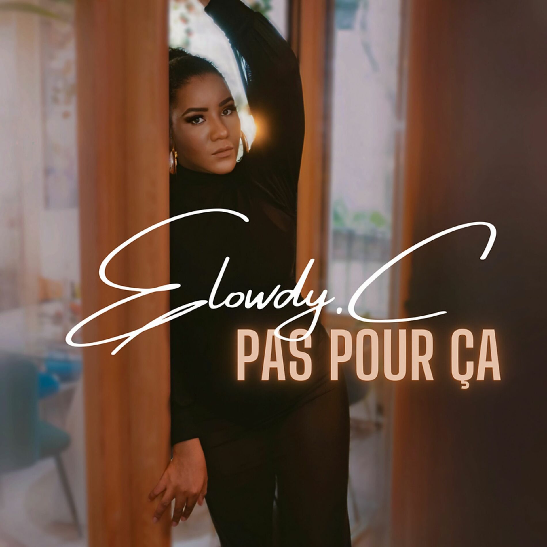 Album cover of Pas pour ça