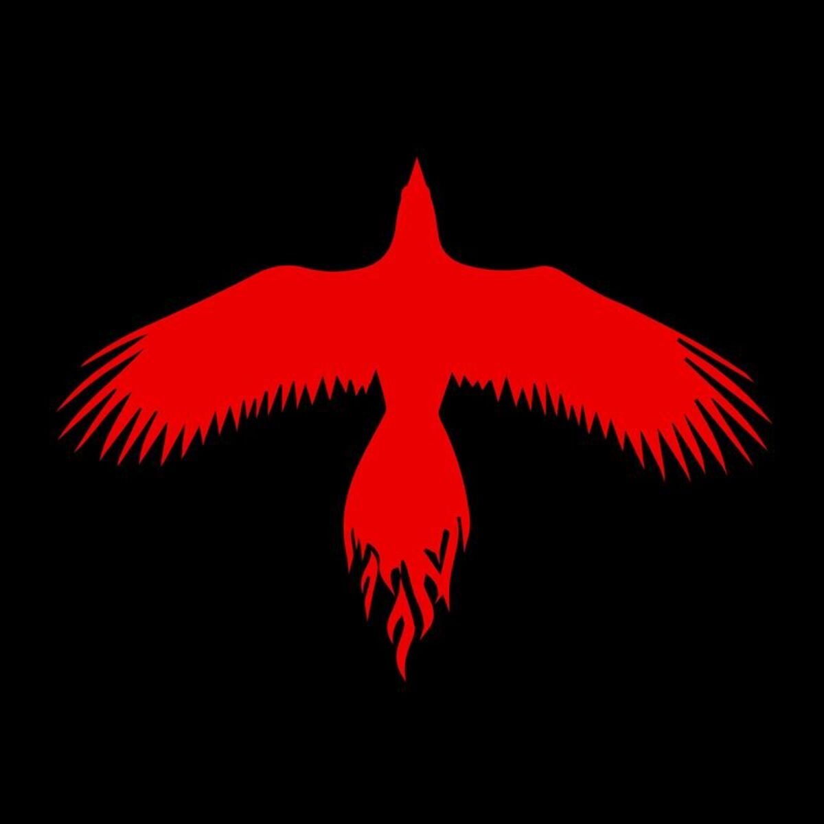 Album cover of The Phoenix