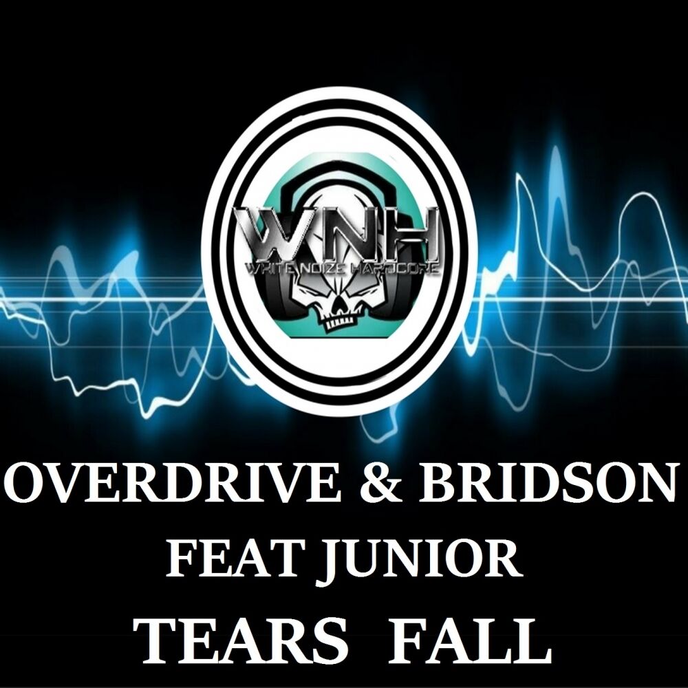 Picture of Tears Fall