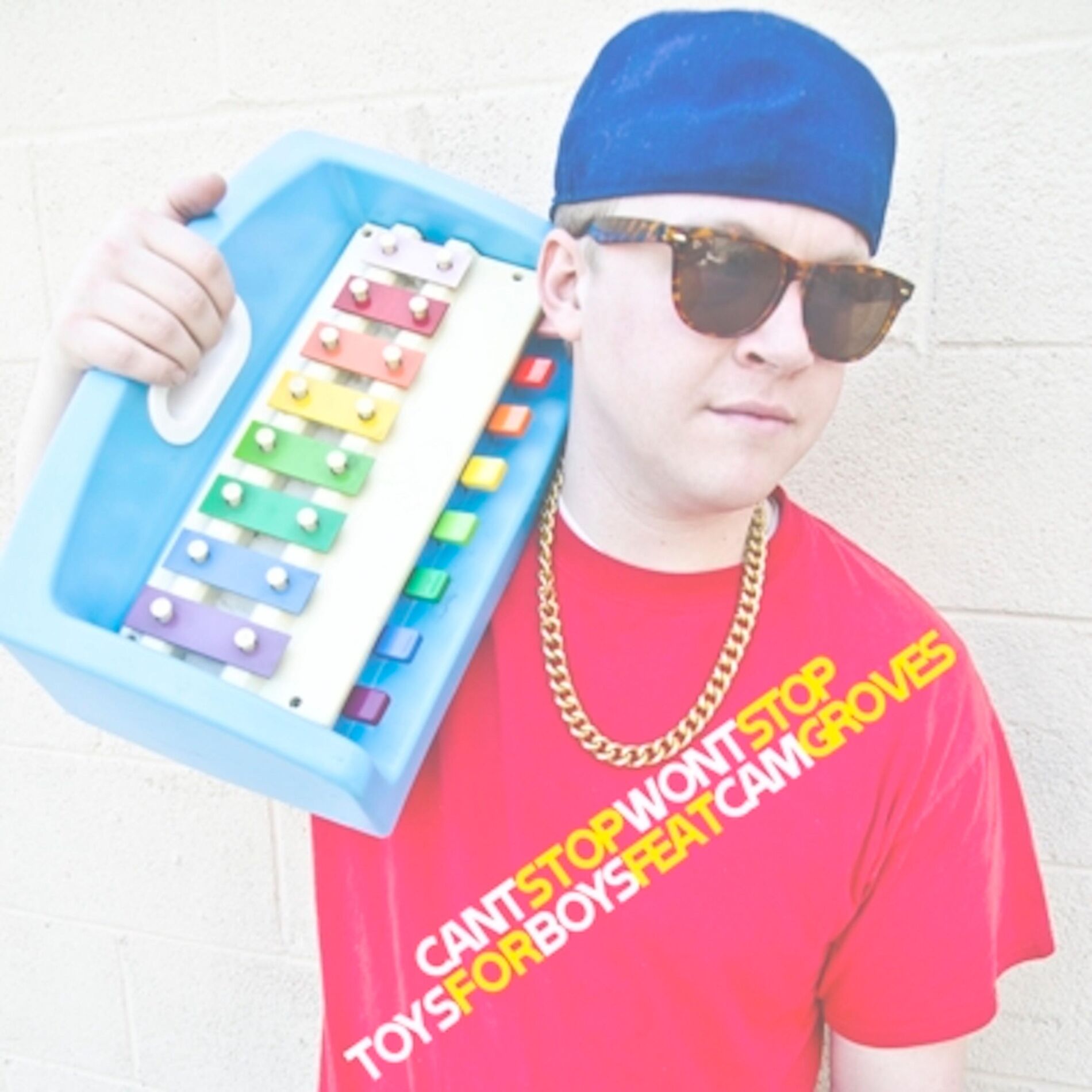 Album cover of Toys for Boys (feat. Cam Groves)
