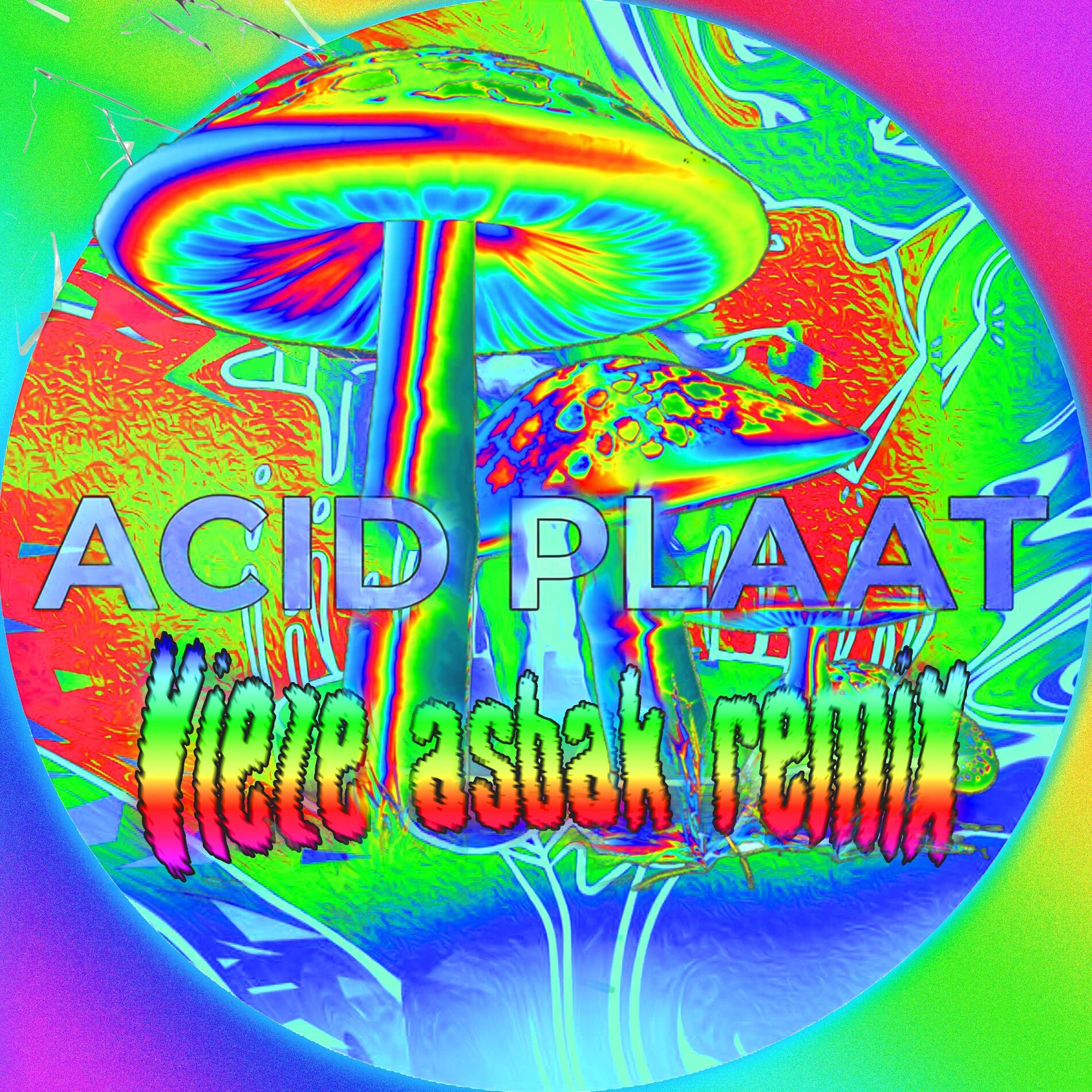 Album cover of Acid Plaat