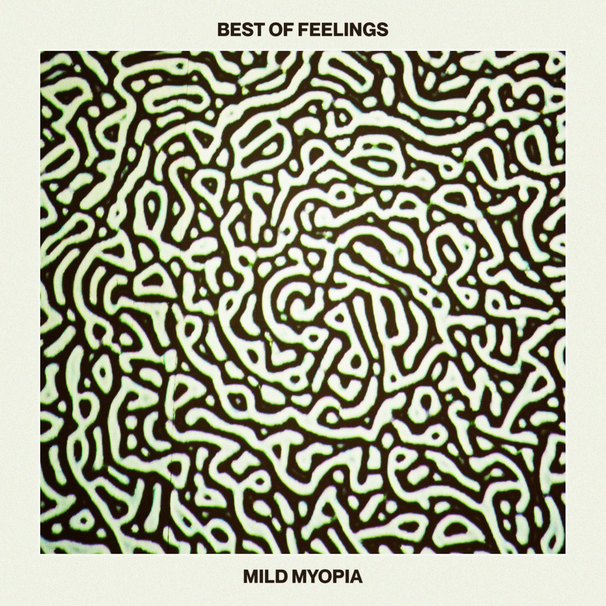 Album cover of Mild Myopia
