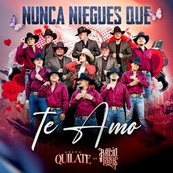 Cover of Nunca Niegues Que Te Amo