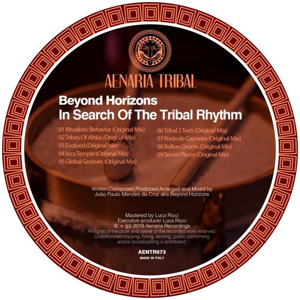 Picture of In Serach Of The Tribal Rhythm