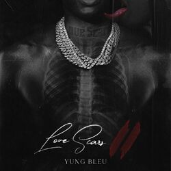 Cover of Love Scars II