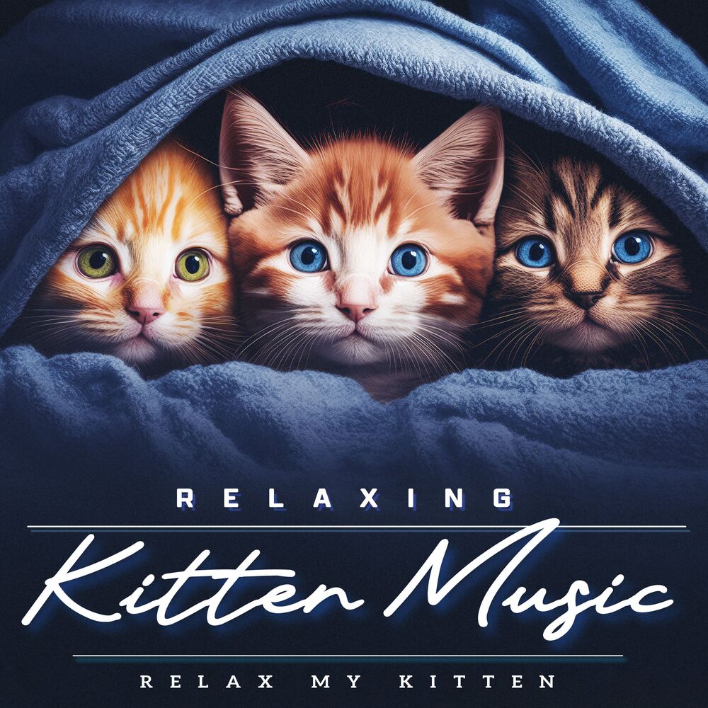 Picture of Relaxing Kitten Music