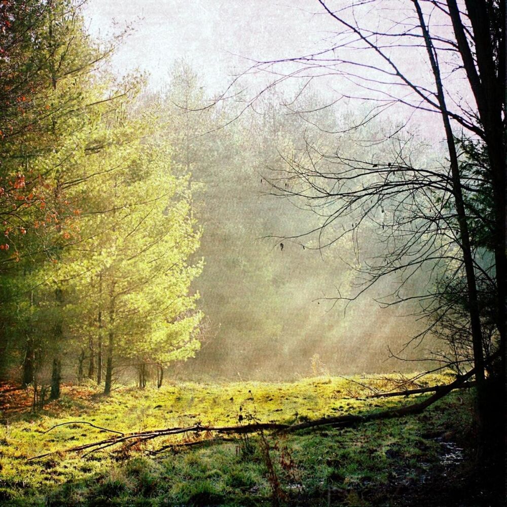Picture of Borrowing the Past (Hammock Remix)