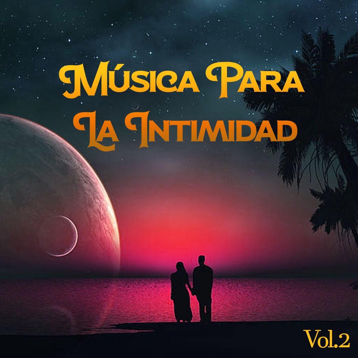 Album cover of Música Para La Intimidad Vol. 2