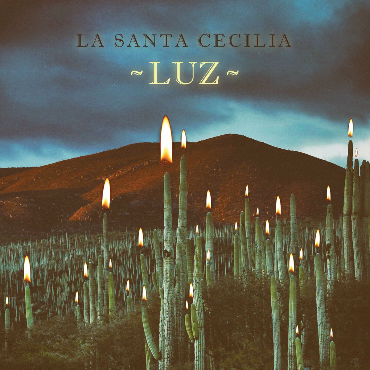 Album cover of Luz