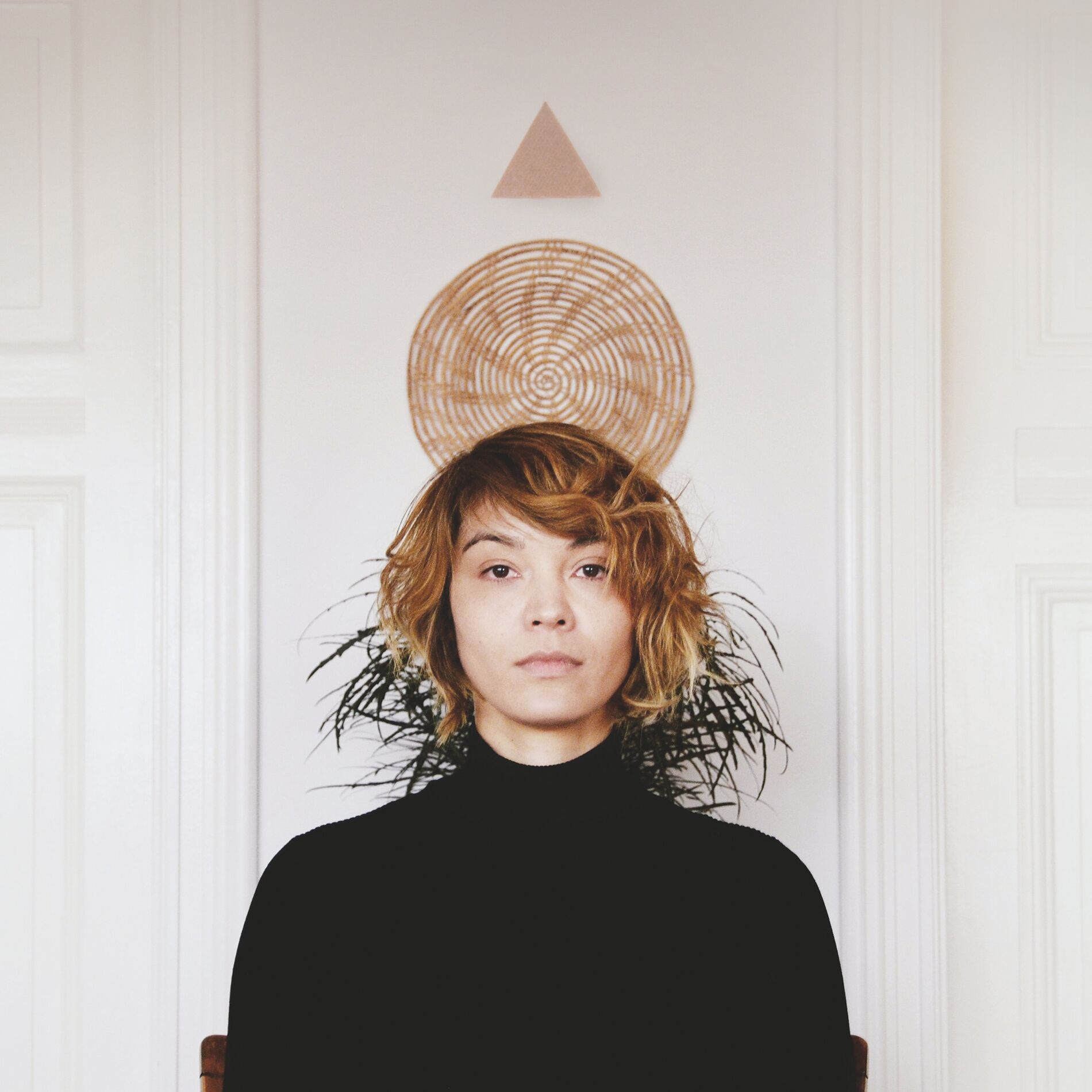 Album cover of Shapes