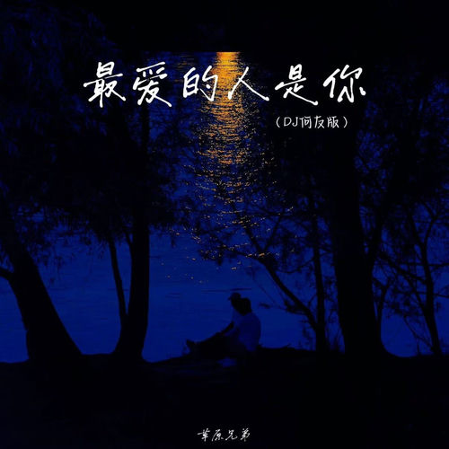 最爱的人是你 (DJ何友版)