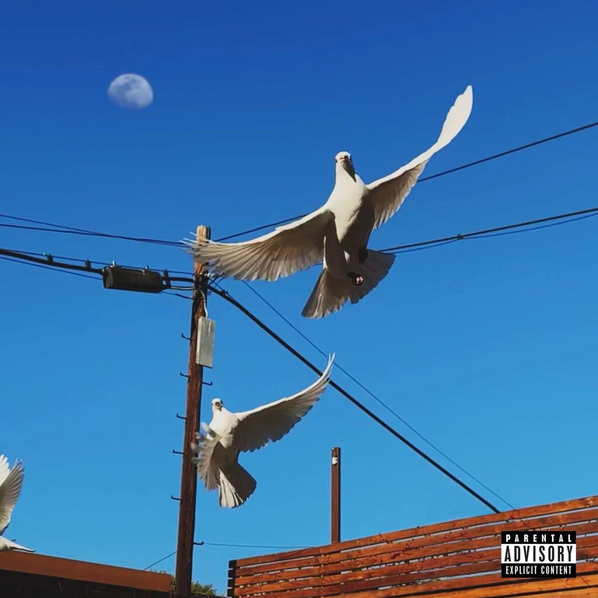 Album cover of your name forever