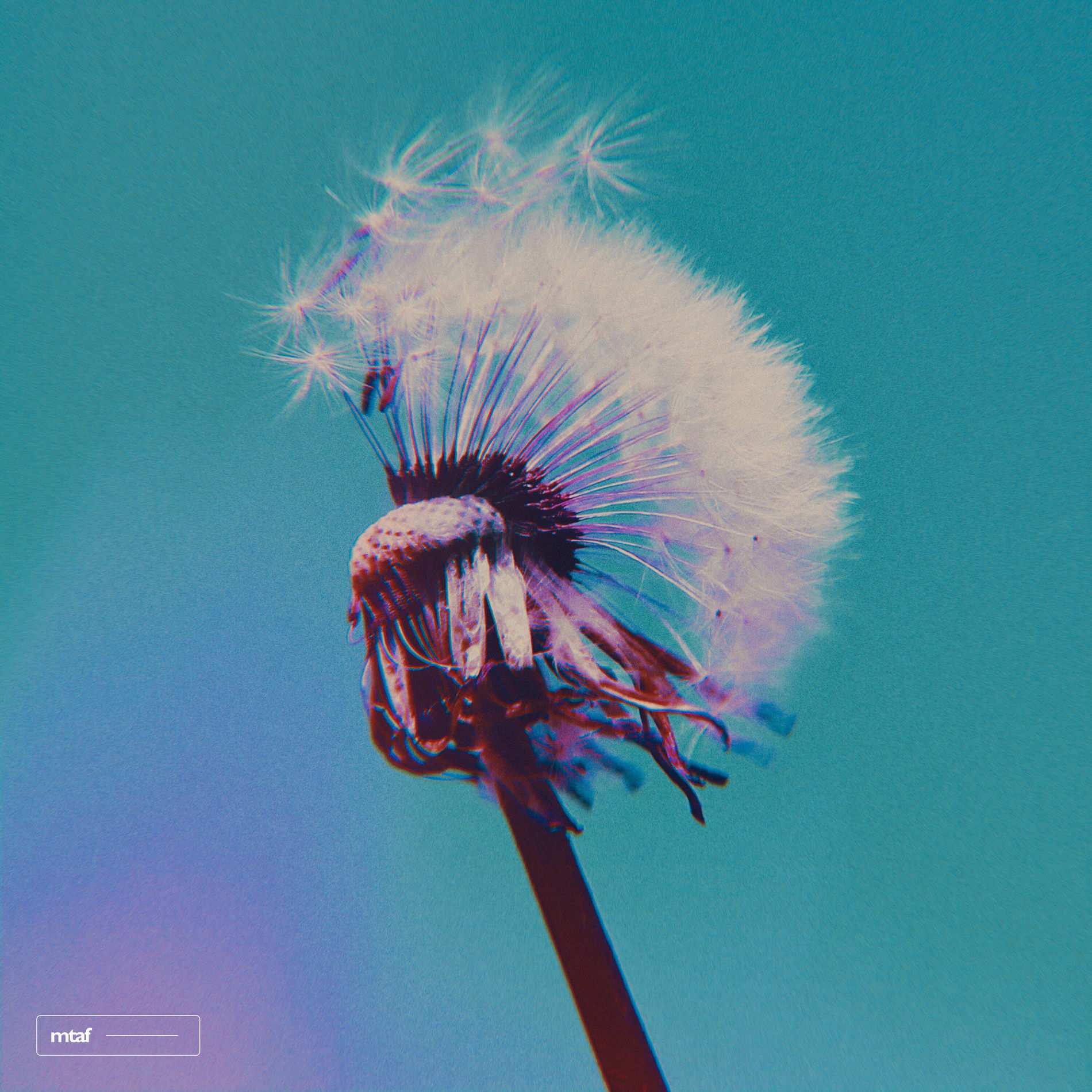 Album cover of Exhale